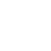 icon-white-network